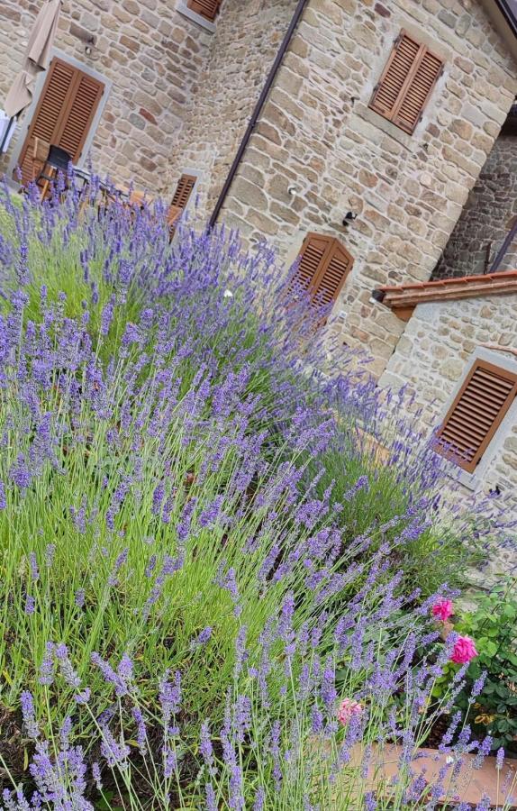 Podere Verdi Colline Poppi Luaran gambar